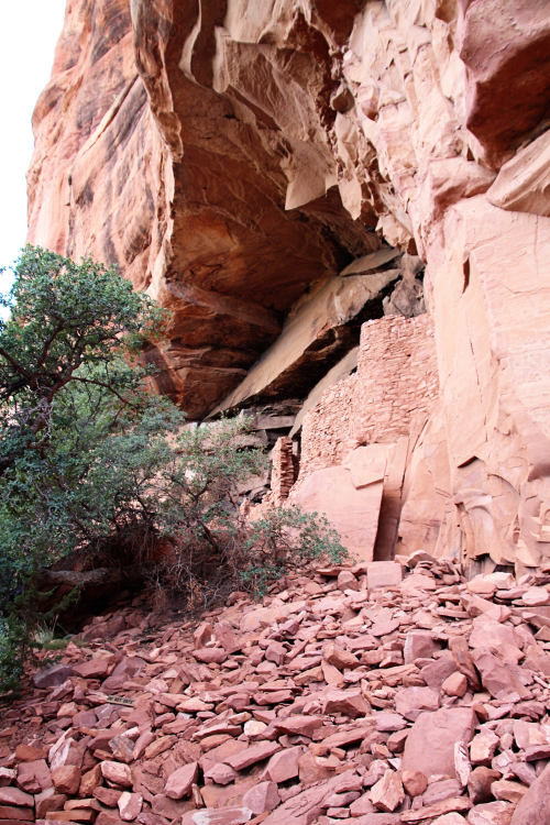 Family Time in Sedona, 2015