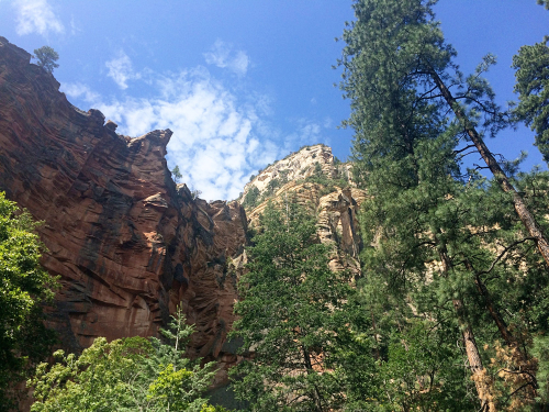 Family Time in Sedona, 2015