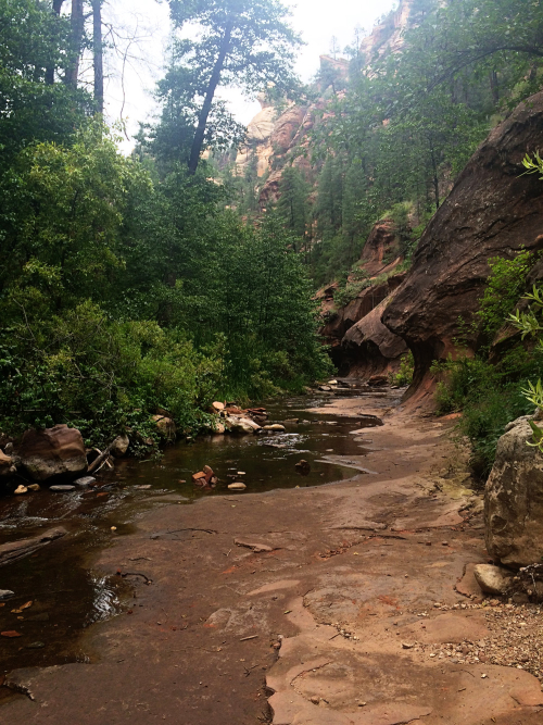 Family Time in Sedona, 2015